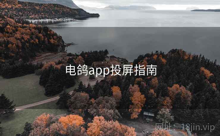电鸽app投屏指南 第1张 电鸽app投屏指南 第1张