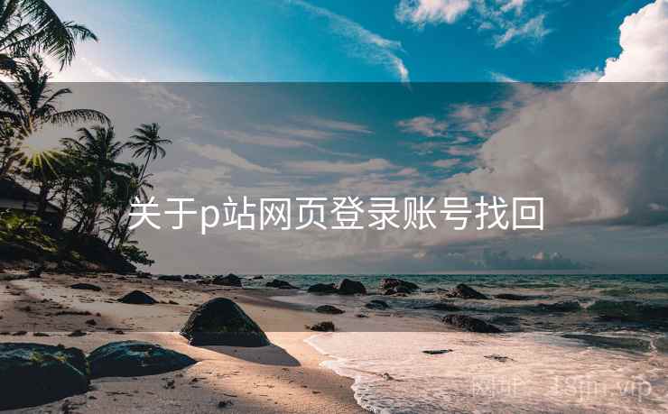 关于p站网页登录账号找回 第2张 关于p站网页登录账号找回 第2张