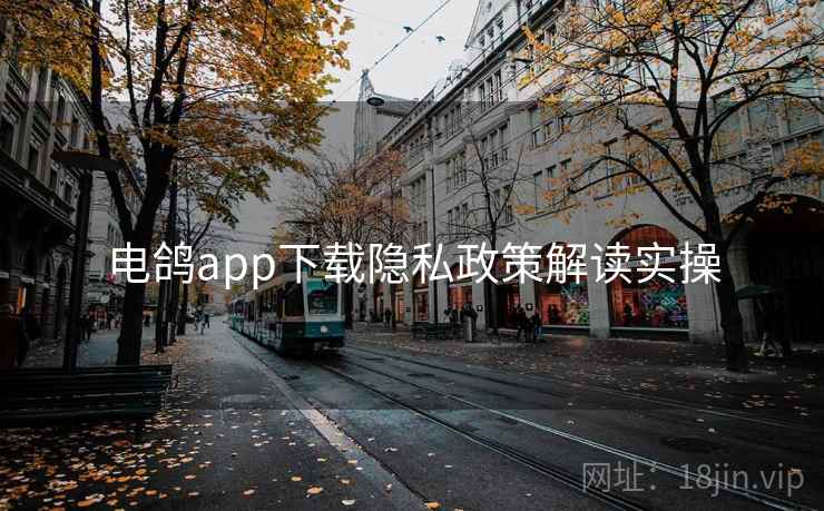 电鸽app下载隐私政策解读实操 第1张 电鸽app下载隐私政策解读实操 第1张