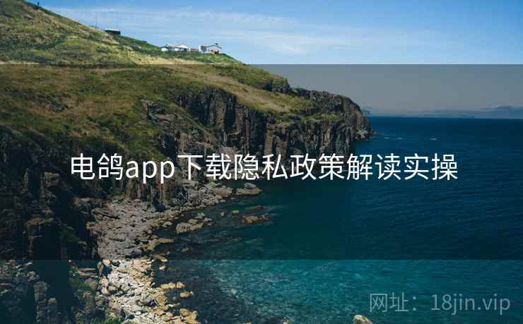 电鸽app下载隐私政策解读实操 第2张 电鸽app下载隐私政策解读实操 第2张